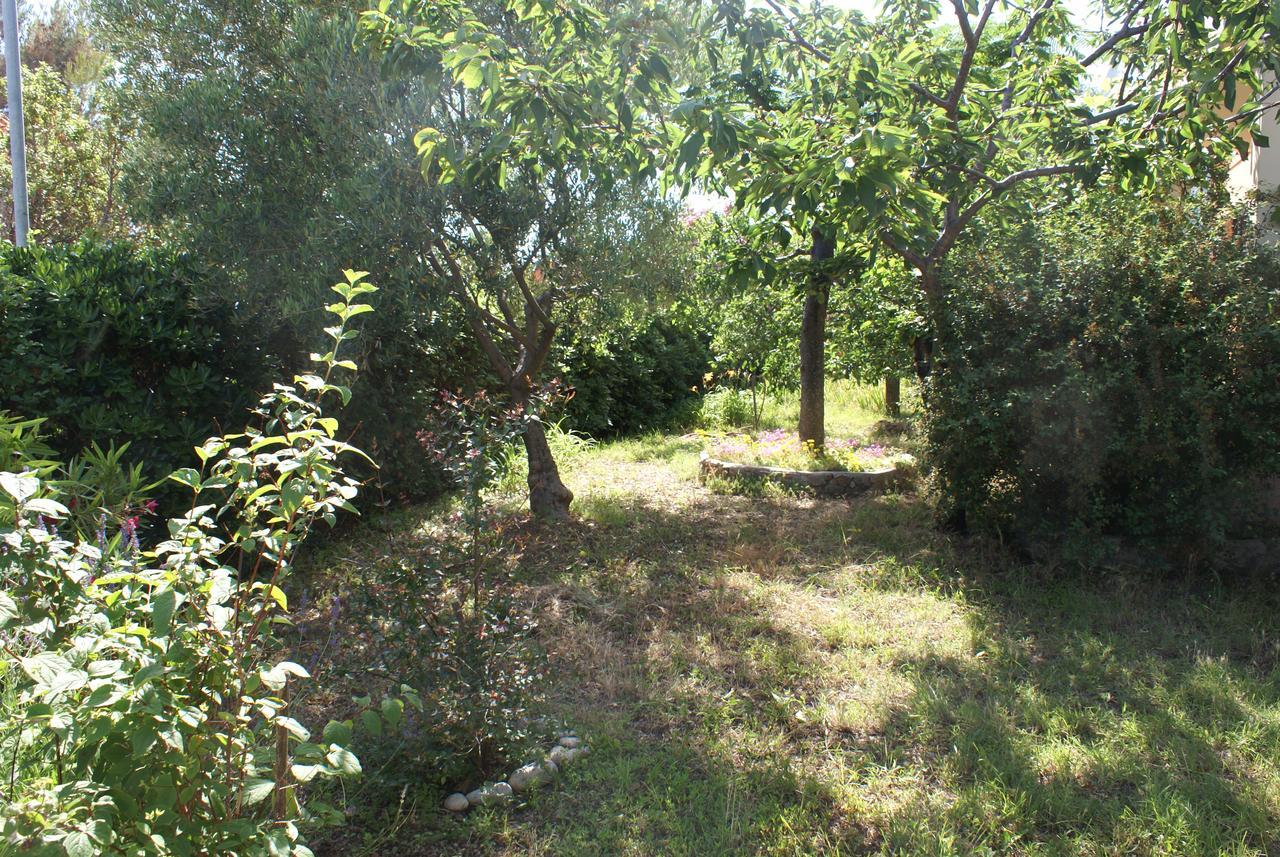 Apartment Ana M Krk Town Luaran gambar